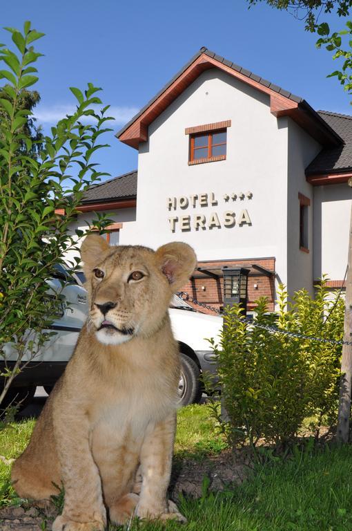 Hotel Terasa Frydek-Mistek Bagian luar foto