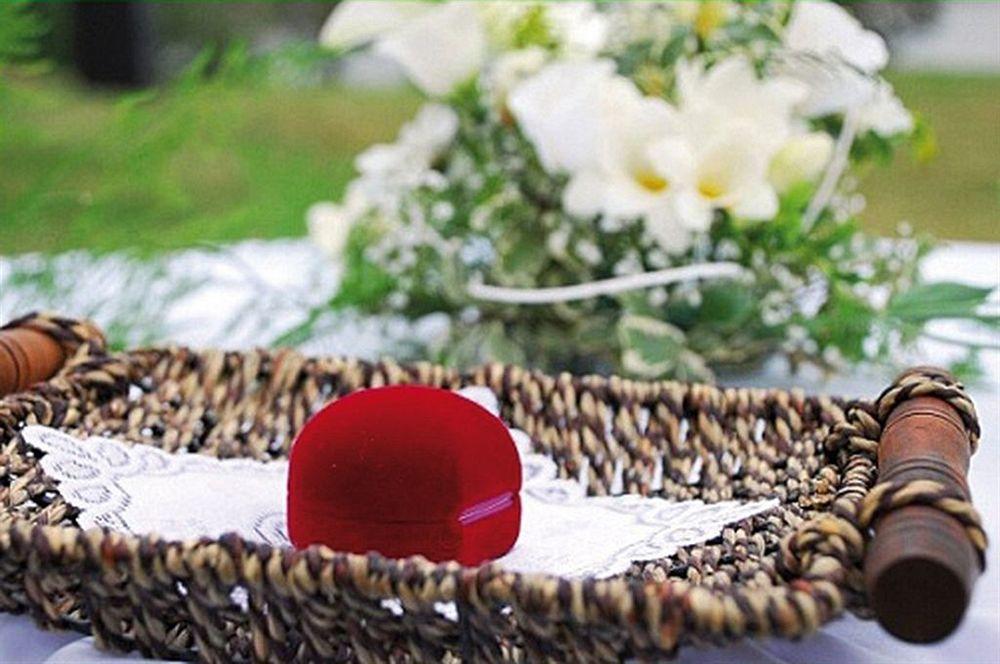 Hotel Terasa Frydek-Mistek Bagian luar foto